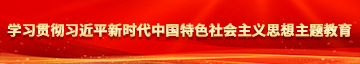 huangseshipin自拍尤物学习贯彻习近平新时代中国特色社会主义思想主题教育